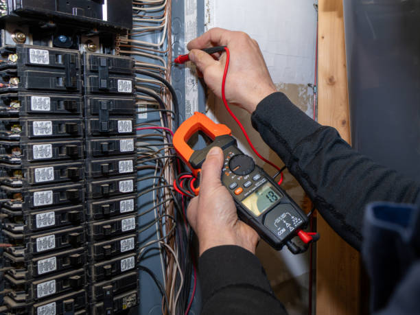 Best Residential Electrician Services  in Honokaa, HI